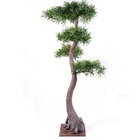 Bonsaï podocarpus artificiel h 160 cm d 85 cm sur plaque - dimhaut: h 160 cm - c