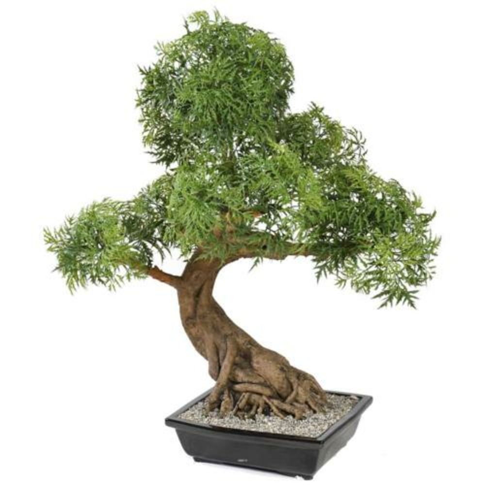 Bonsaï aralia artificiel h 95 cm d 60 cm en pot - dimhaut: h 95 cm - couleur: ve