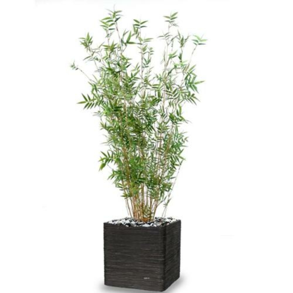 Bambou oriental artificiel cannes fines en pot h 190 cm d 100 cm vert - dimhaut: