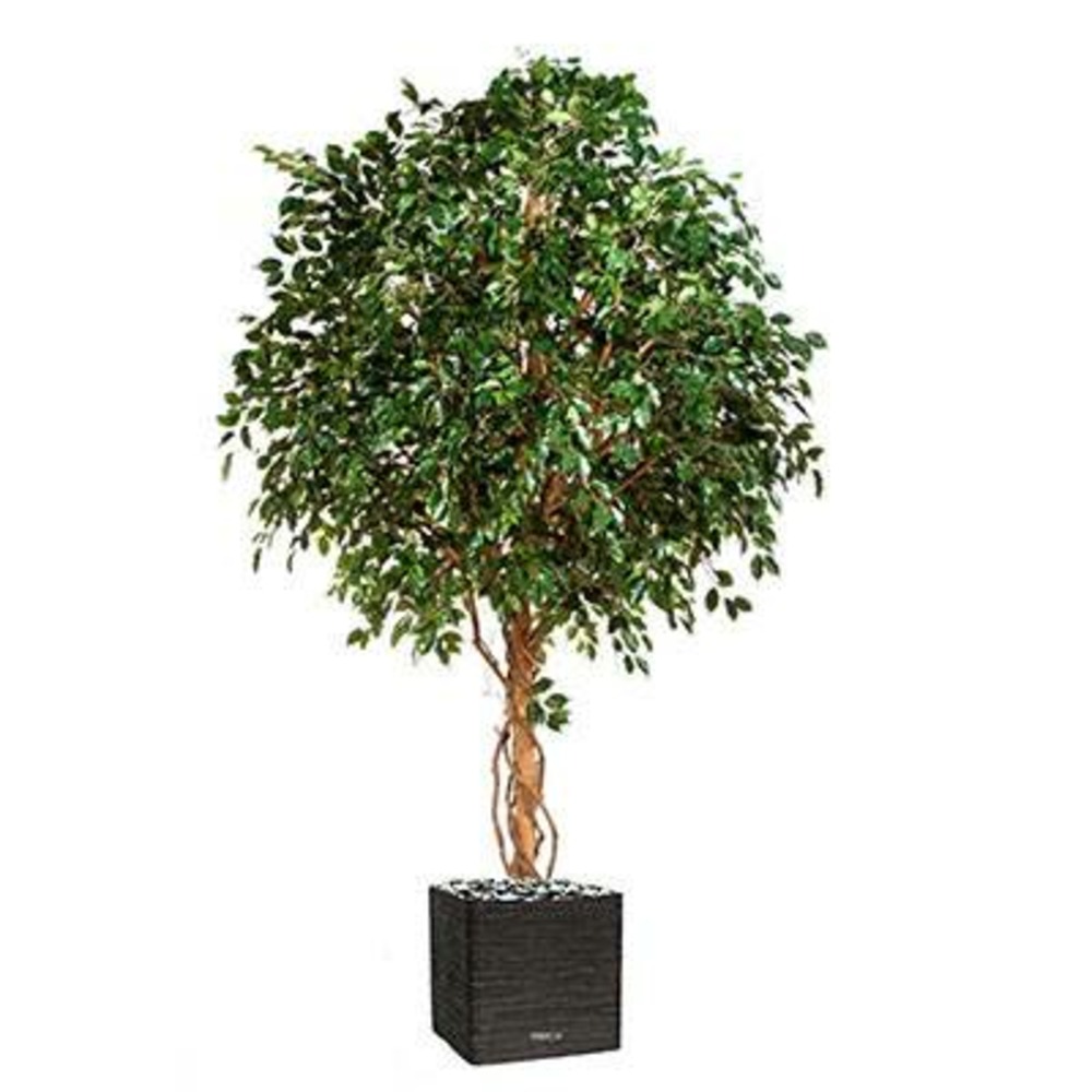 Ficus exotique géant artificiel h 315 cm 6600 feuilles en pot - dimhaut: h 315 c