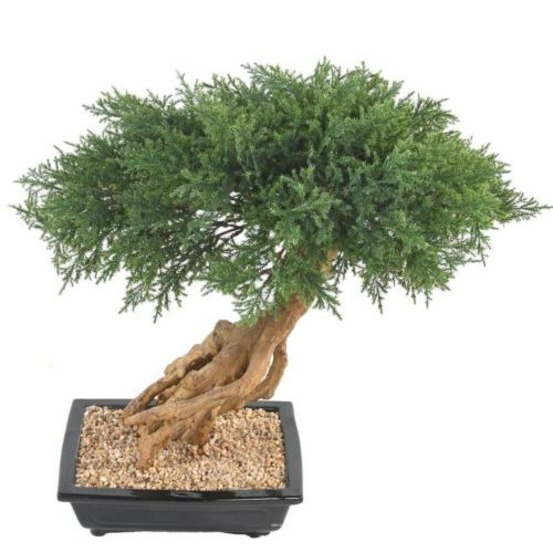 Bonsaï genévrier artificiel h 60 cm d 60 cm en pot - dimhaut: h 60 cm - couleur: