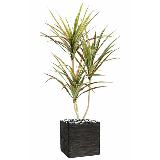 Dracaena artificiel 3 troncs en pot h 140 cm vert-rose - dimhaut: h 140 cm - cou