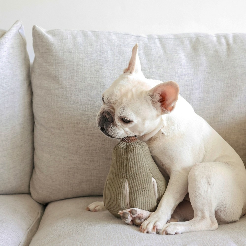 Butt - jouet pour chien avec poches friandises, forme butternut, 14x14x22cm
