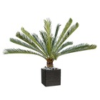 Palmier cycas artificiel en pot h 200 cm vert - dimhaut: h 200 cm - couleur: ver
