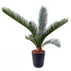 Palmier cycas artificiel en pot h 50 cm vert - dimhaut: h 50 cm - couleur: vert