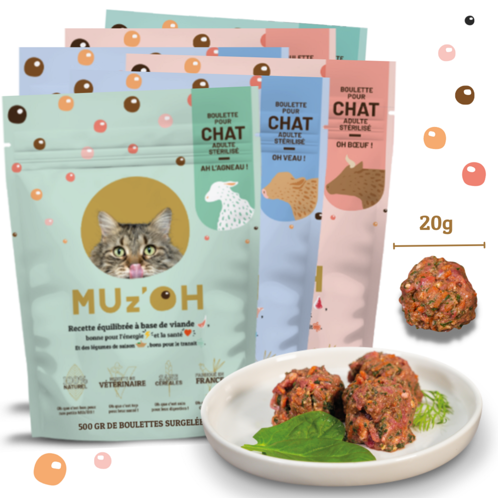Repas surgelés naturels, complets & équilibrés | Chat | OH' Bœuf, AH l ...