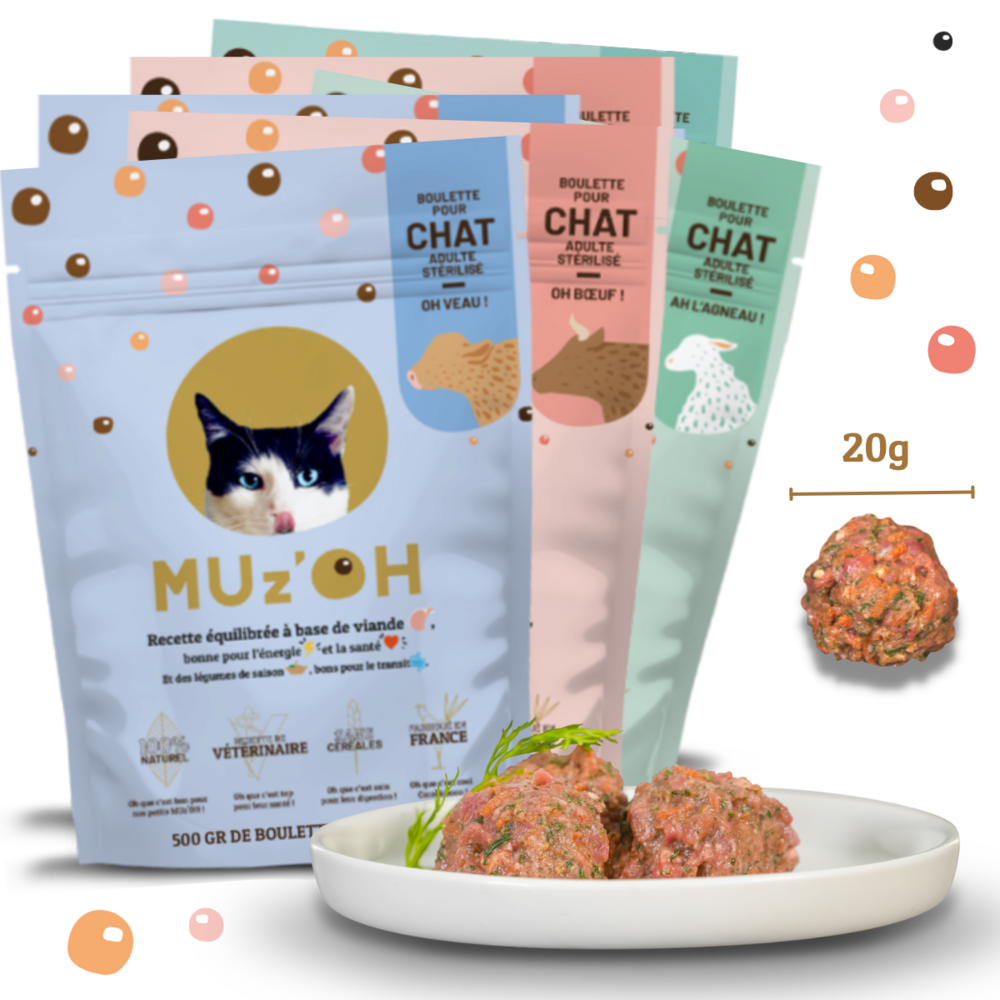 repas surgelés naturels, complets & équilibrés | chat | OH' Bœuf, AH l ...