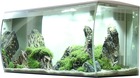 Aquarium  d'eau douce blanc flex 123l