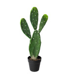 Plante artificielle cactus en pot h 60 cm