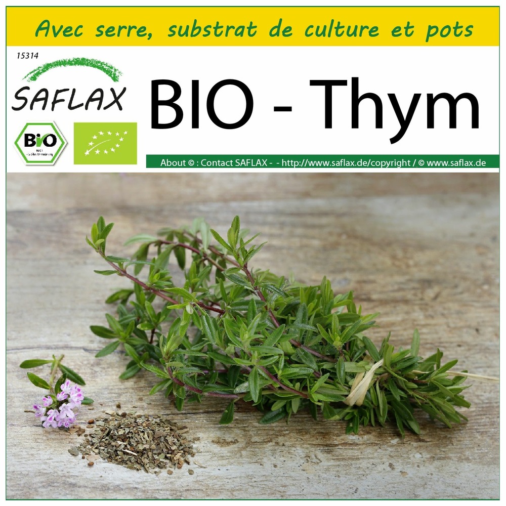 Ensemble de culture - bio - thym - 800 graines - thymus vulgaris