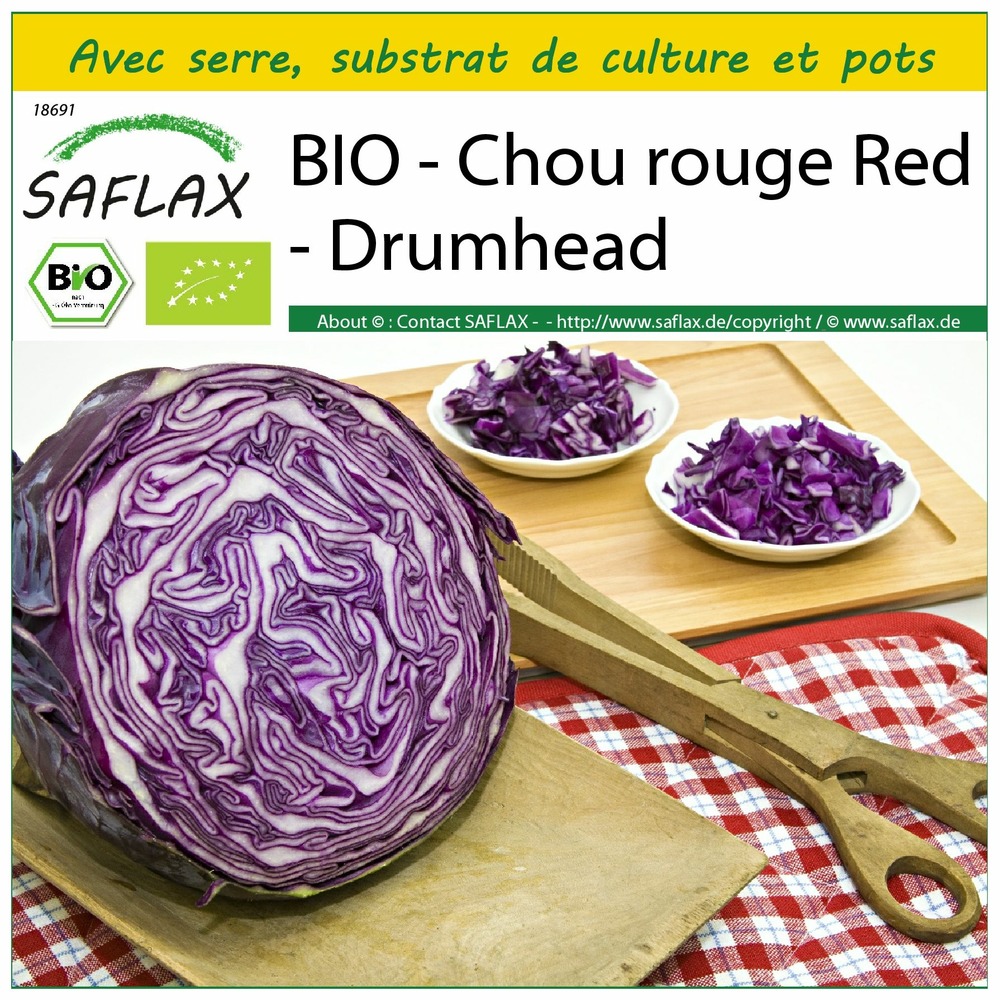 Ensemble de culture - bio - chou rouge red - drumhead - 250 graines - brassica oleracea var. Capitata