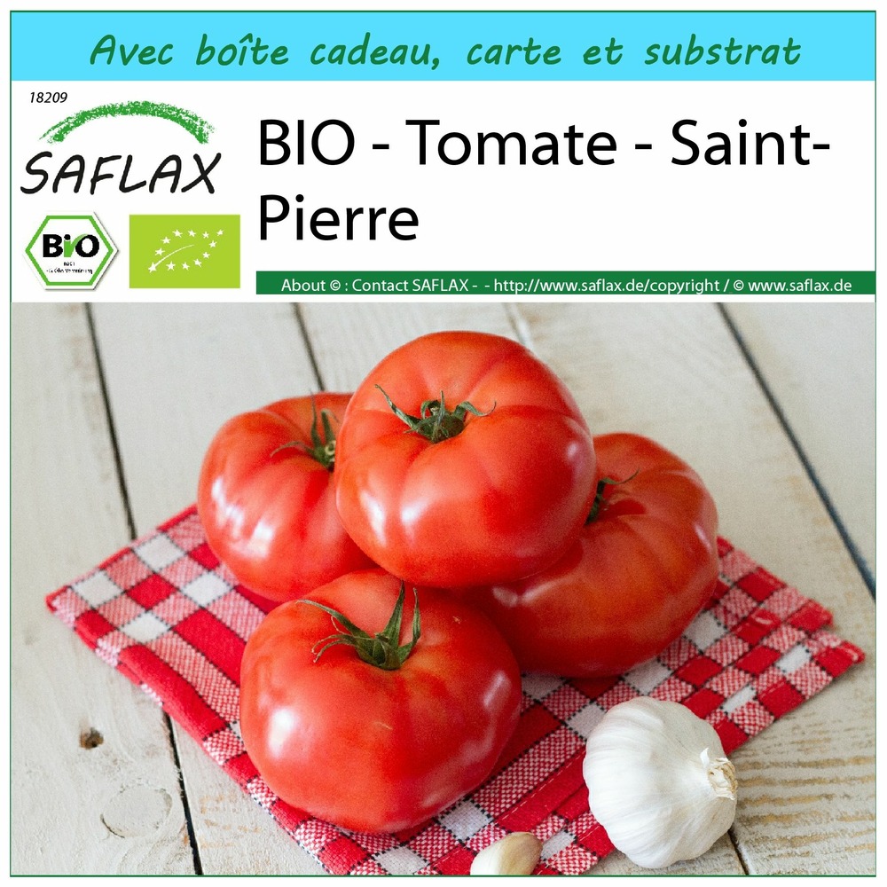 Kit cadeau - bio - tomate - saint-pierre - 15 graines  - solanum lycopersicum