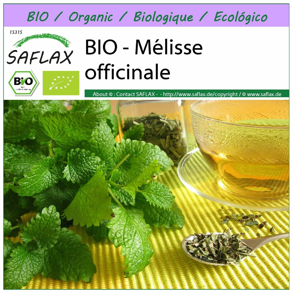 Bio - mélisse officinale - 1000 graines - melissa officinalis