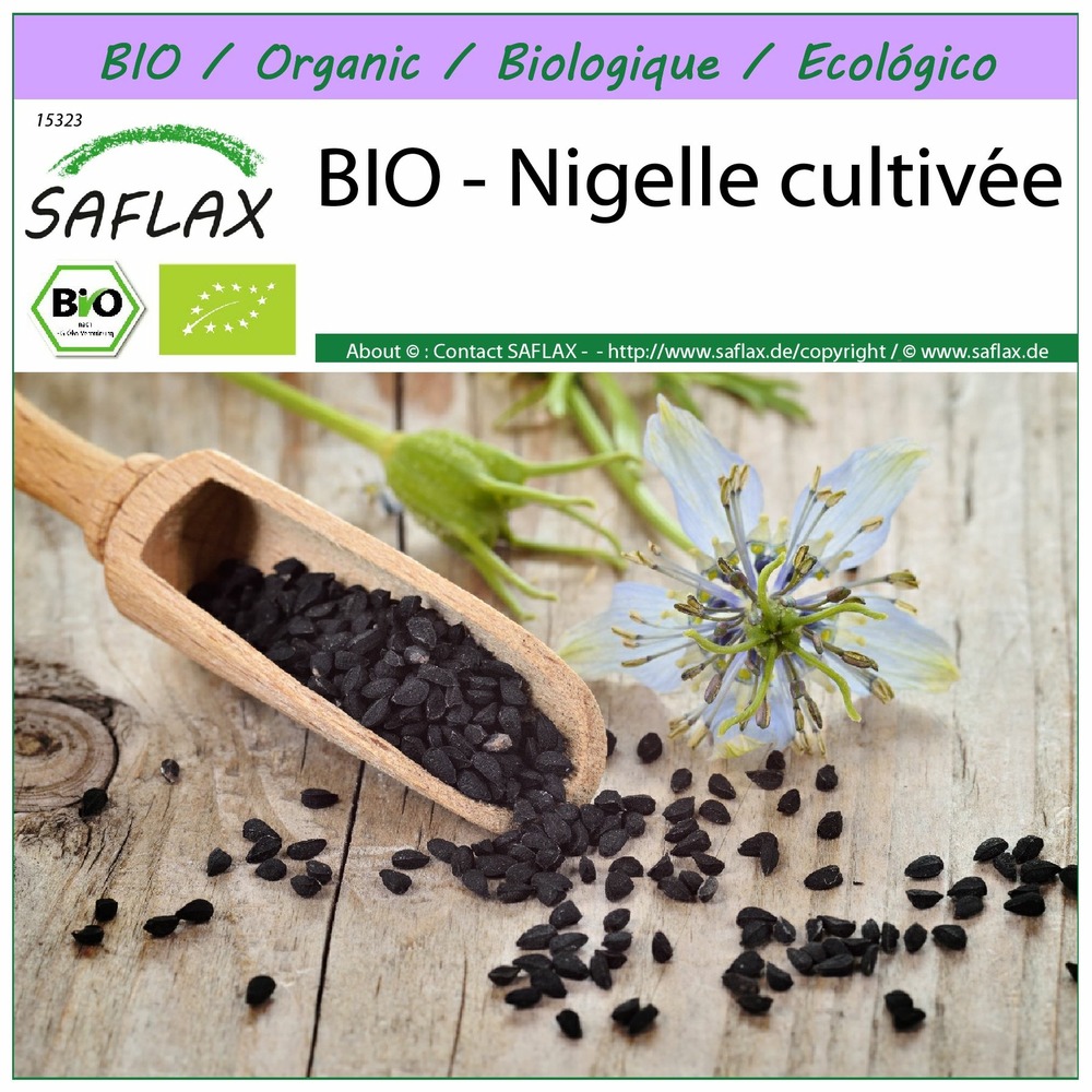 Bio - nigelle cultivée - 300 graines - nigella sativa