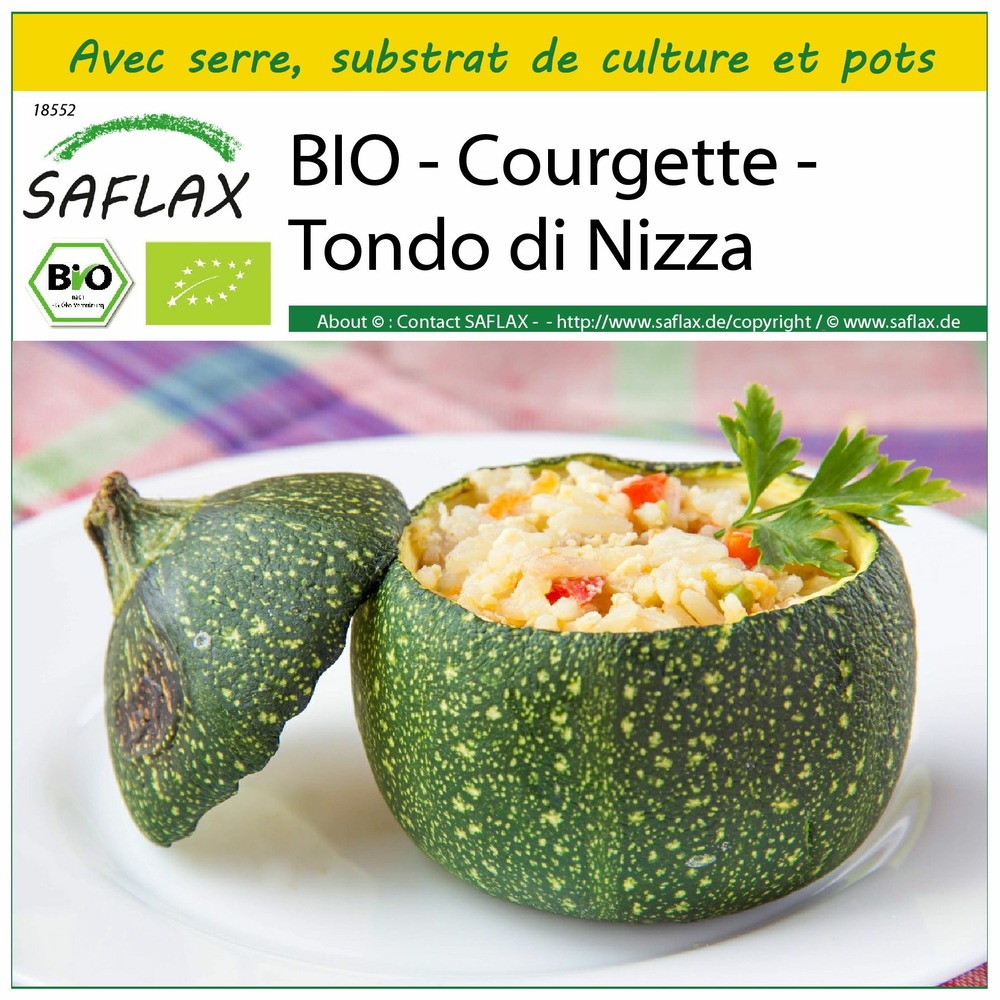 Ensemble de culture - bio - courgette - tondo di nizza - 5 graines - cucurbita pepo