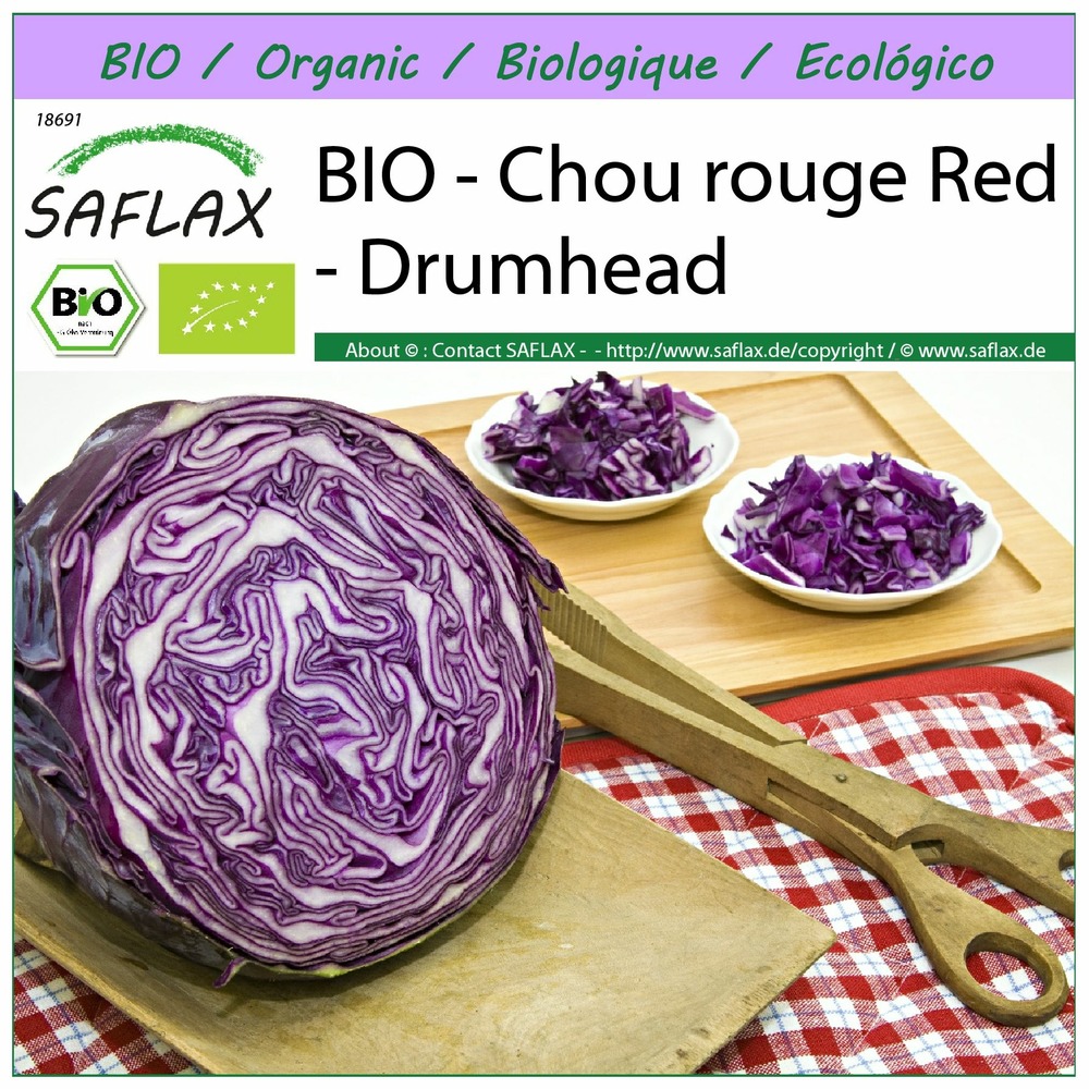 Bio - chou rouge red - drumhead - 250 graines - brassica oleracea var. Capitata