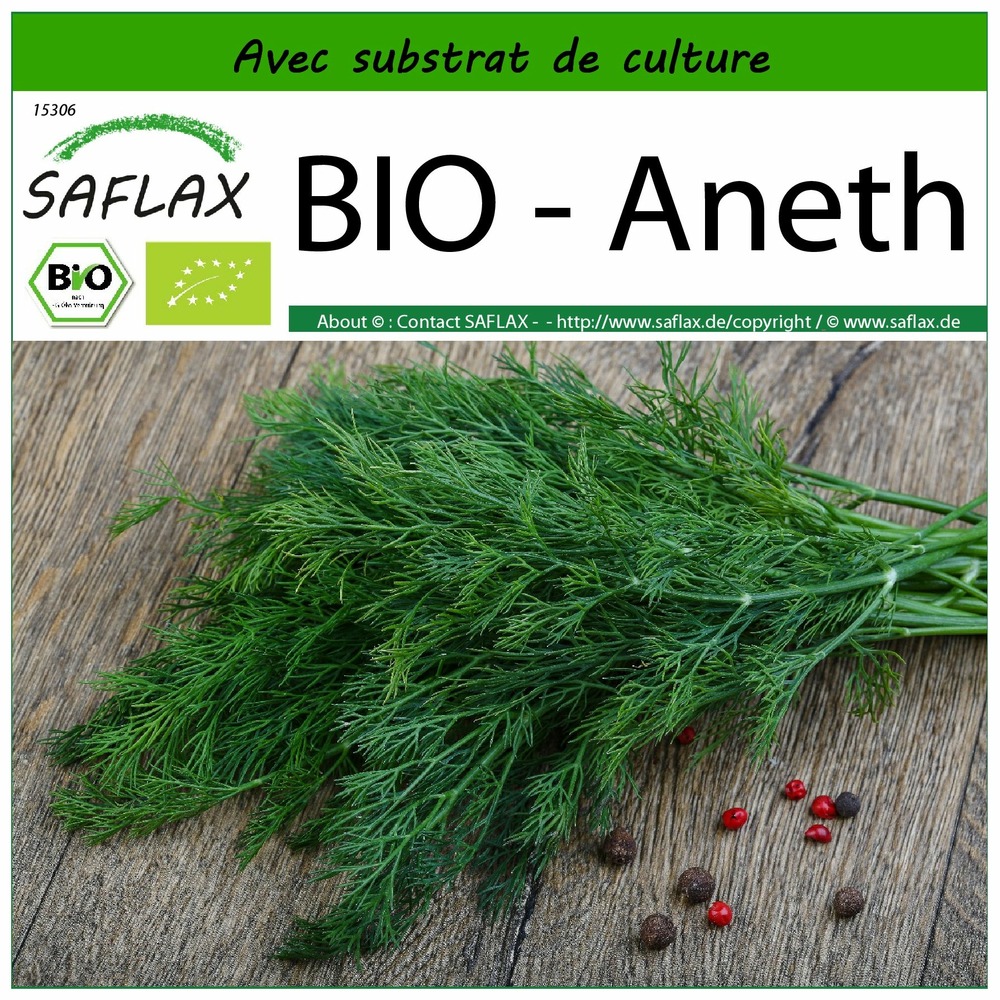 Bio - aneth - 700 graines - avec substrat - anethum graveolens