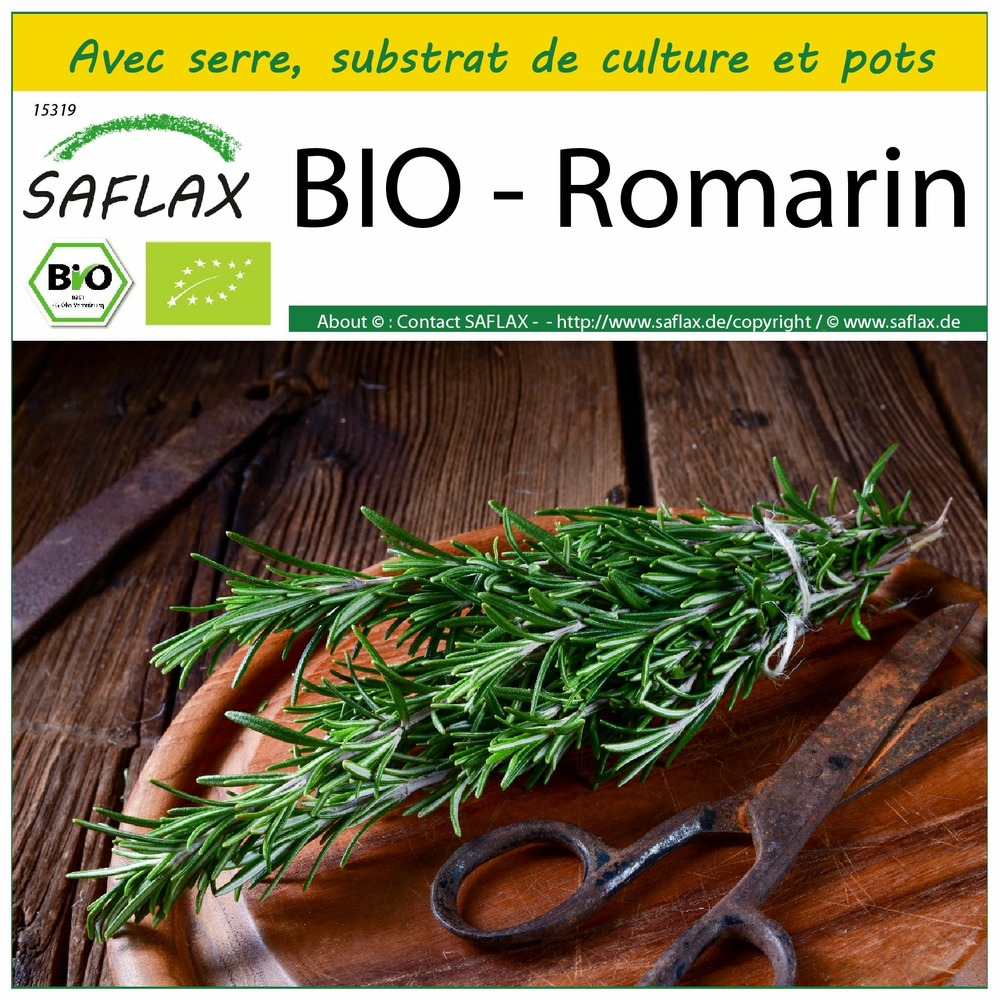 Ensemble de culture - bio - romarin - 40 graines - rosmarinus officinalis