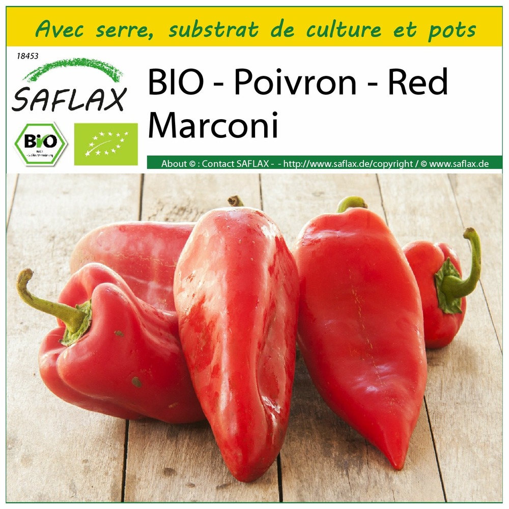 Ensemble de culture - bio - poivron - red marconi - 20 graines - capsicum annuum