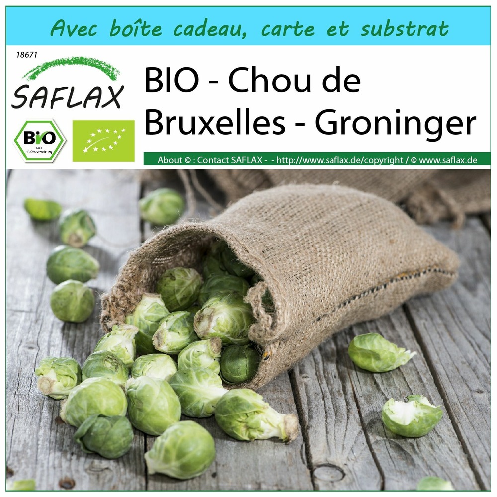 Ensemble-cadeau - bio - chou de bruxelles - groninger - 30 graines - brassica oleracea var. Gemmifera