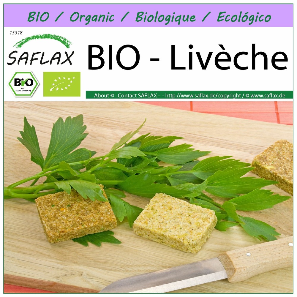 Bio - livèche - 100 graines - levisticum officinale