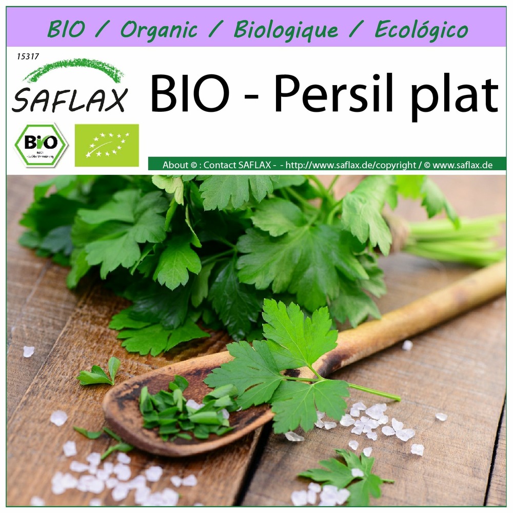 Bio - persil plat - 600 graines - petroselinum crispum