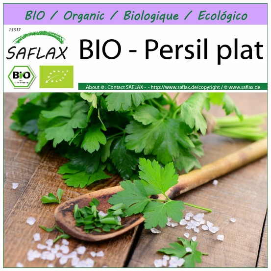 Bio - persil plat - 600 graines - petroselinum crispum