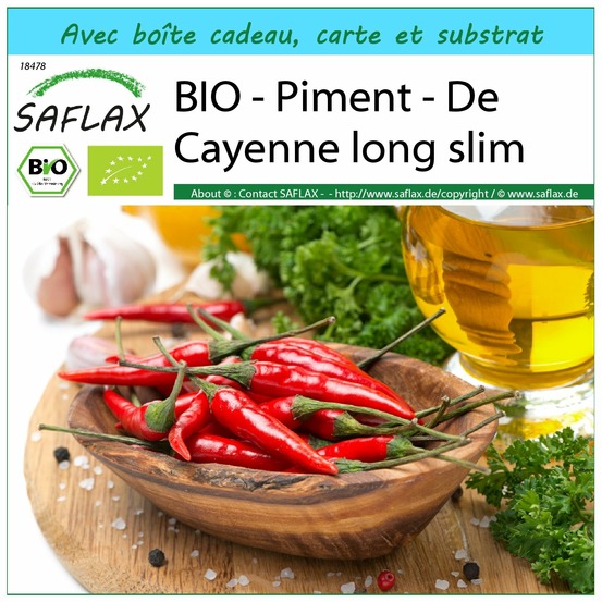 Ensemble-cadeau - bio - piment - de cayenne long slim - 10 graines - capsicum annuum