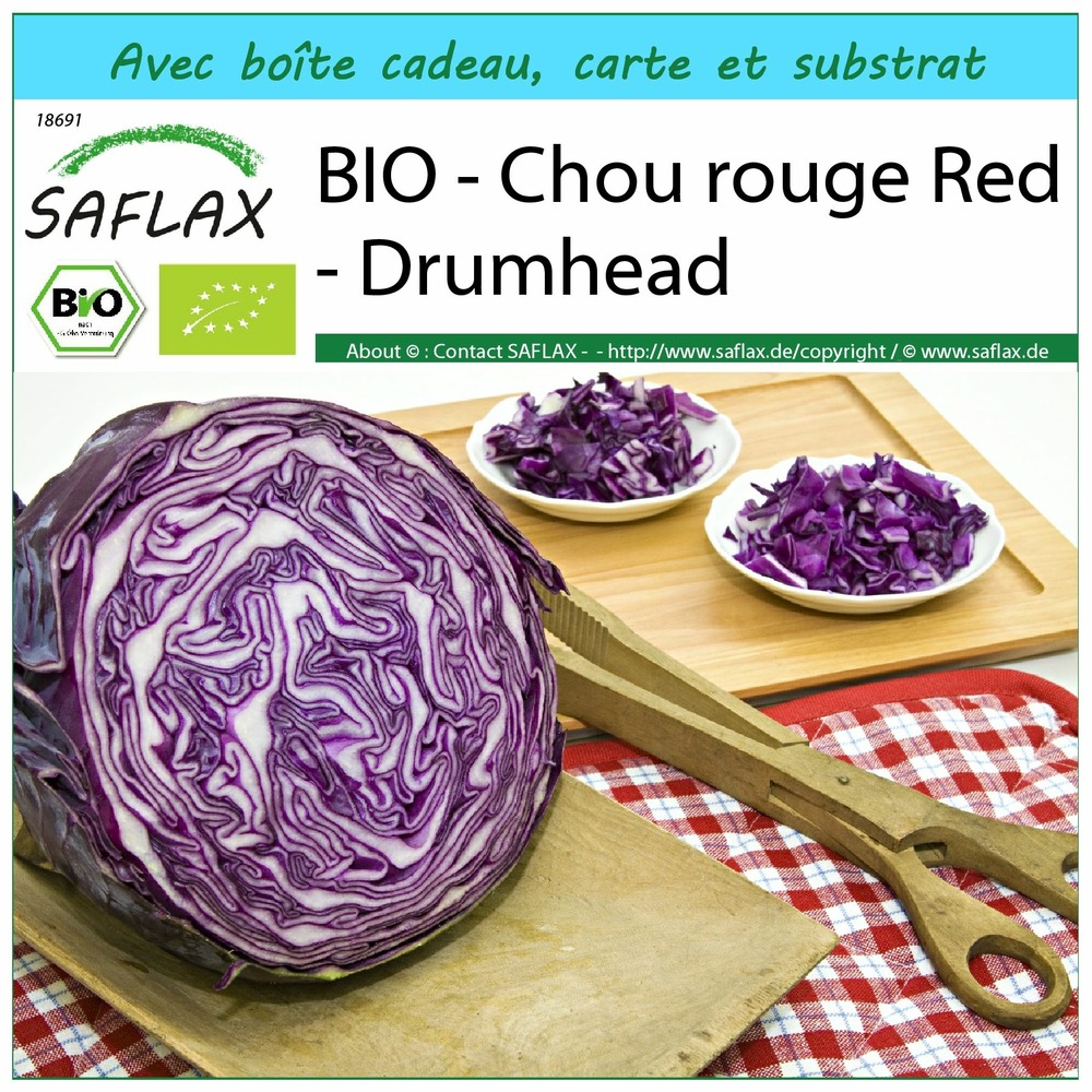 Ensemble-cadeau - bio - chou rouge red - drumhead - 250 graines - brassica oleracea var. Capitata