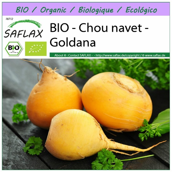 Bio - chou navet - goldana - 500 graines - brassica rapa