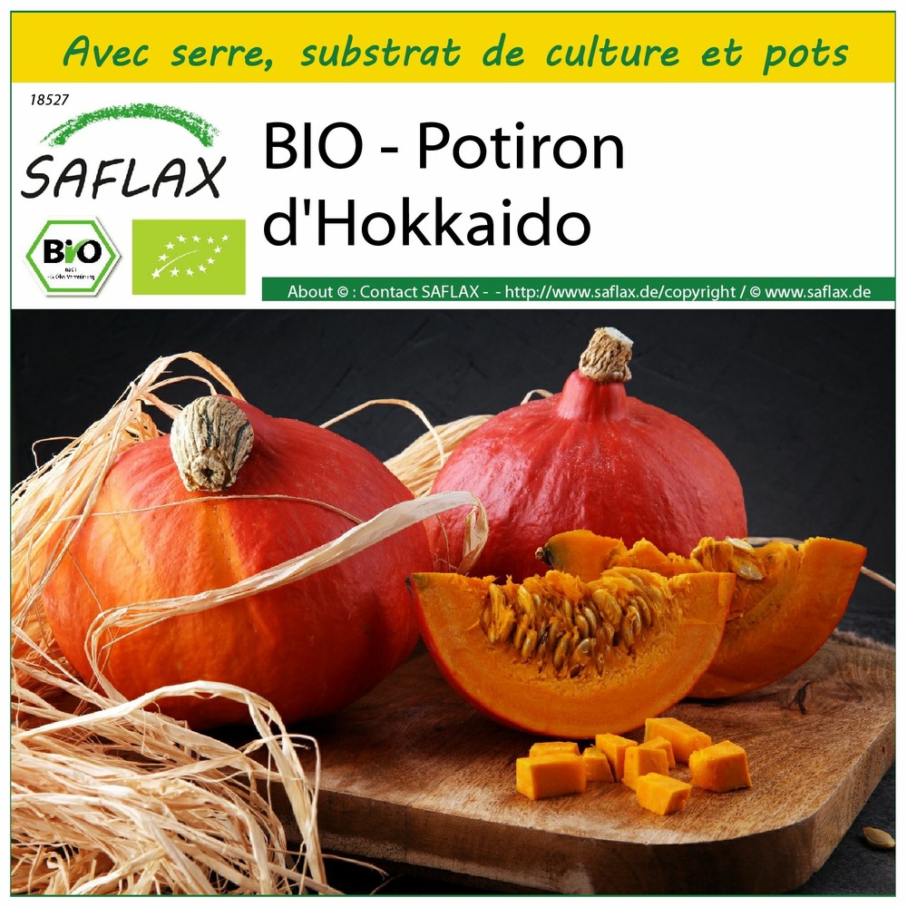Ensemble de culture - bio - potiron d'hokkaido - 5 graines - cucurbita maxima