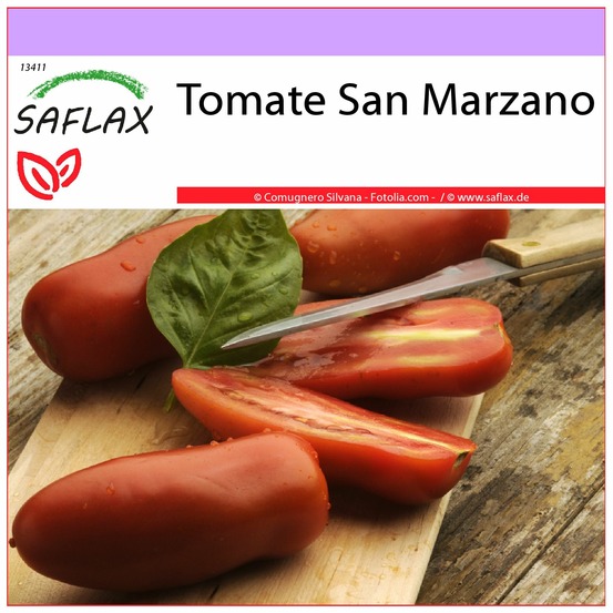 Tomate san marzano - 10 graines - lycopersicon esculentum