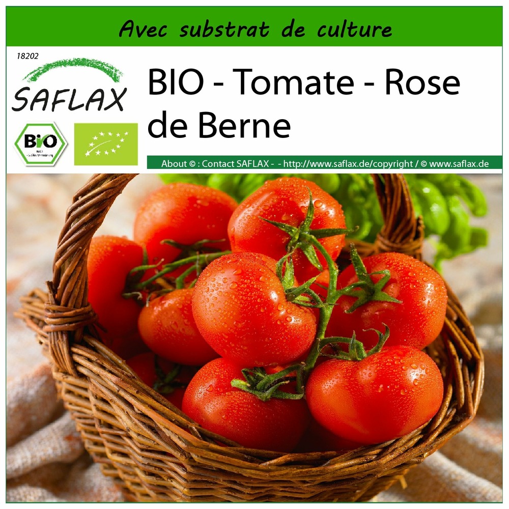 Bio - tomate - rose de berne - 10 graines - avec substrat - solanum lycopersicum