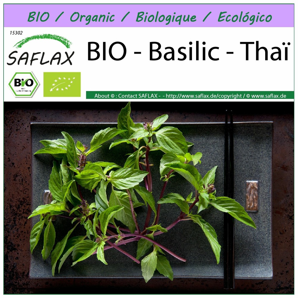 Bio - basilic - thaï - 250 graines - ocimum basilicum