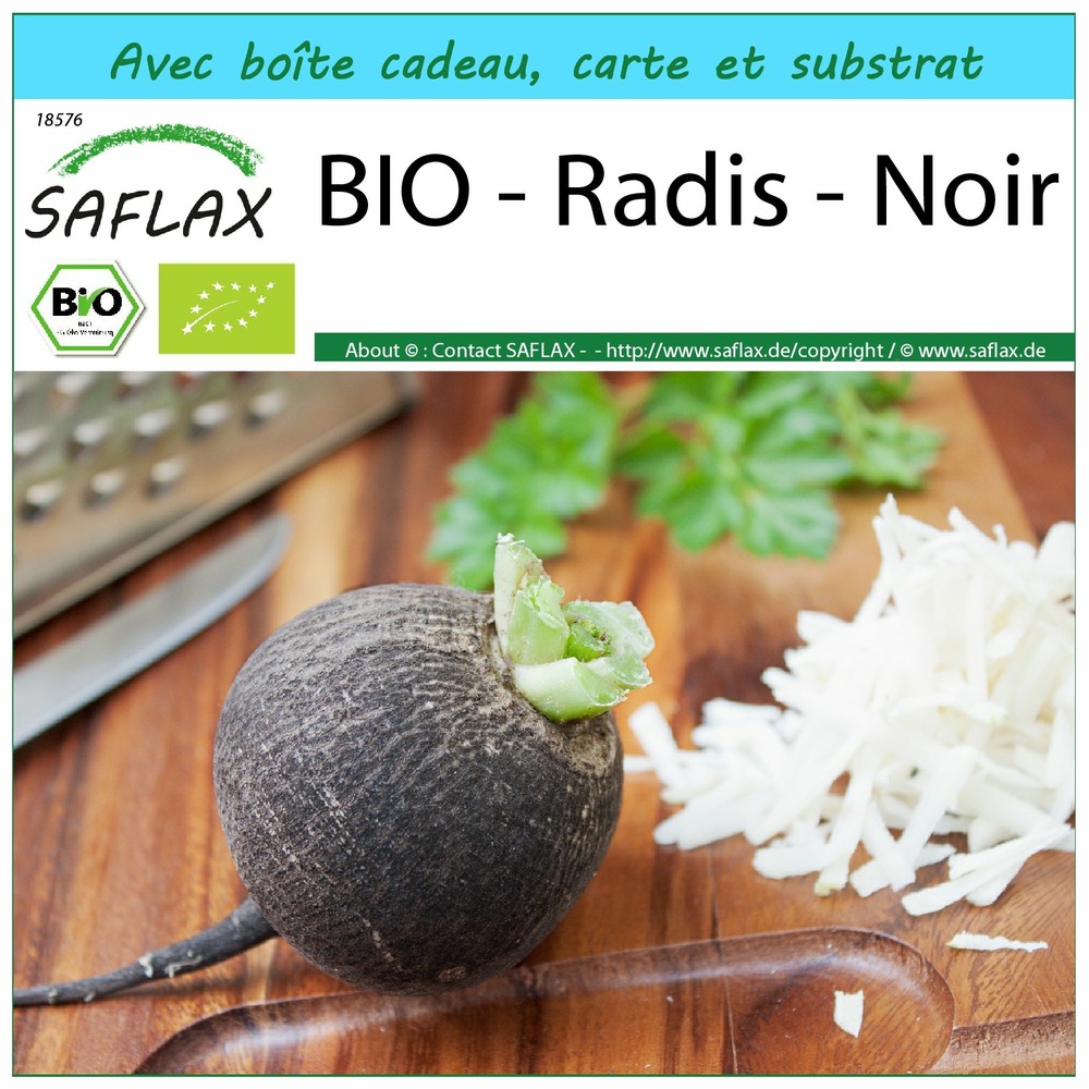 Ensemble-cadeau - bio - radis - noir - 100 graines - raphanus sativus