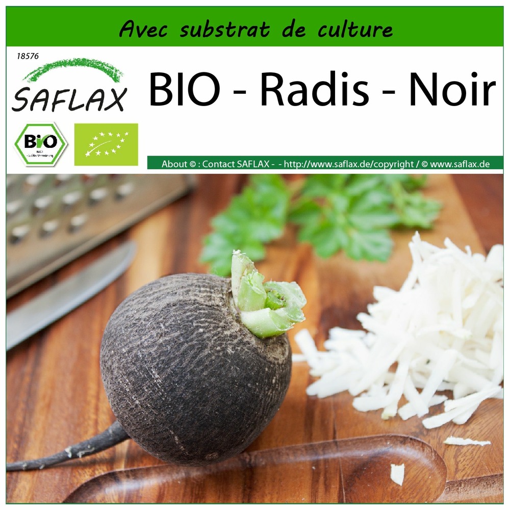 Bio - radis - noir - 100 graines - avec substrat - raphanus sativus