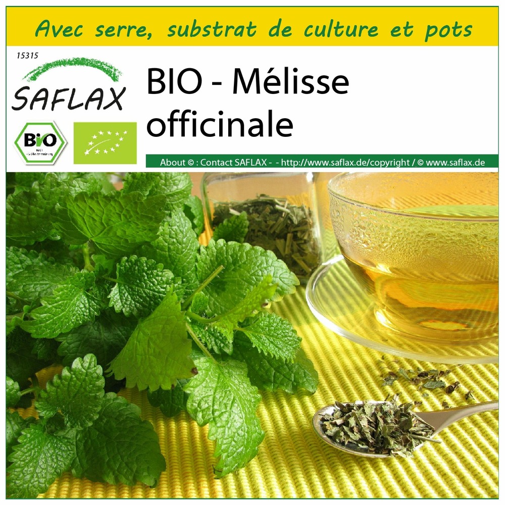 Ensemble de culture - bio - mélisse officinale - 1000 graines - melissa officinalis