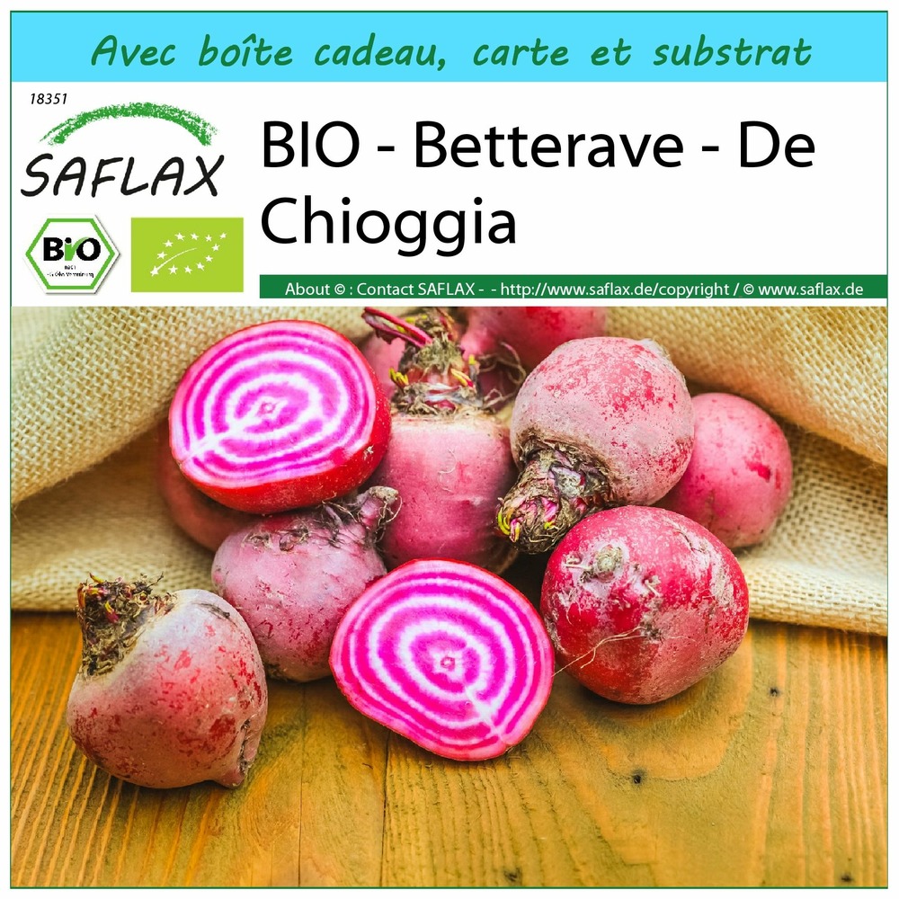 Ensemble-cadeau - bio - betterave - de chioggia - 70 graines - beta vulgaris