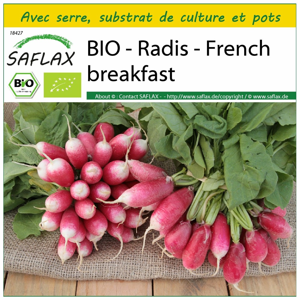 Ensemble de culture - bio - radis - french breakfast - 150 graines - raphanus sativus