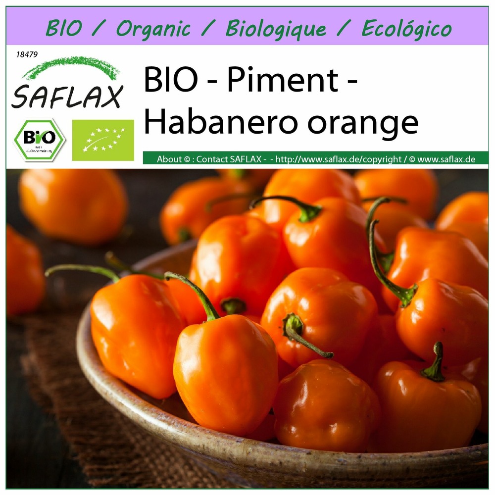 Bio - piment - habanero orange - 20 graines - capsicum annuum