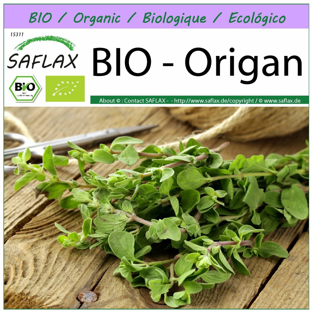 Bio - origan - 1500 graines - origanum heracleoticum