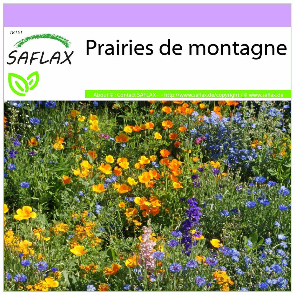 Prairies de montagne - 1000 graines - mix