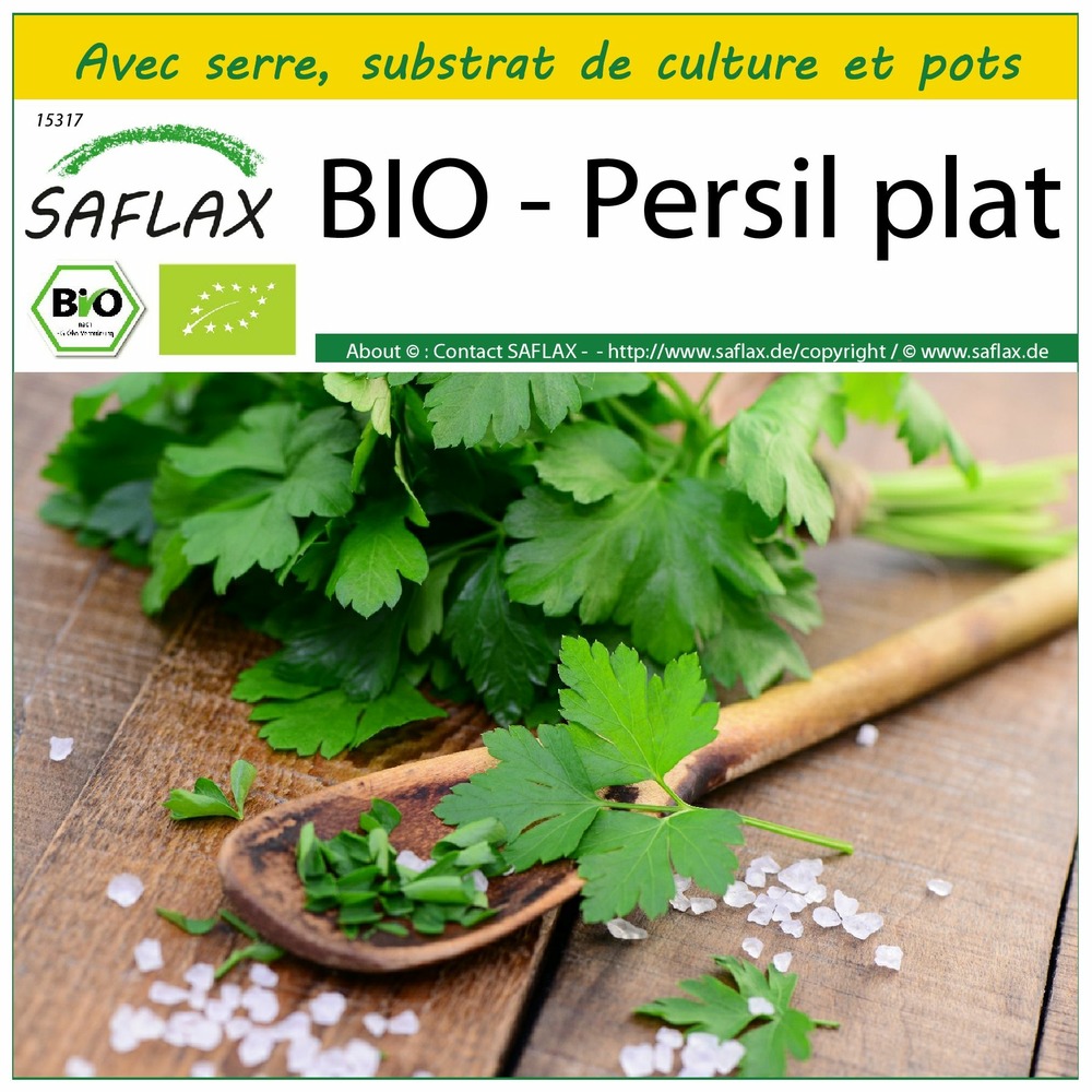 Ensemble de culture - bio - persil plat - 600 graines - petroselinum crispum