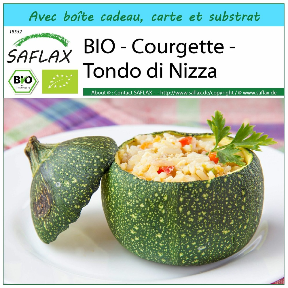 Ensemble-cadeau - bio - courgette - tondo di nizza - 5 graines - cucurbita pepo