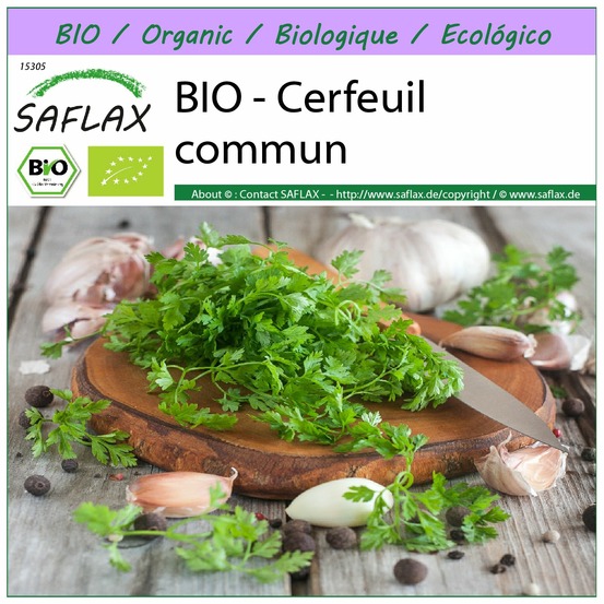 Bio - cerfeuil commun - 800 graines - anthriscus cerefolium