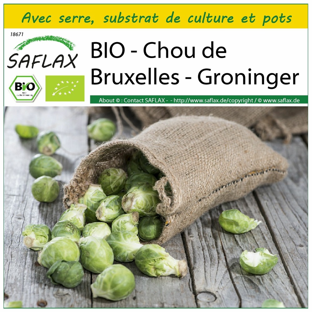 Ensemble de culture - bio - chou de bruxelles - groninger - 30 graines - brassica oleracea var. Gemmifera