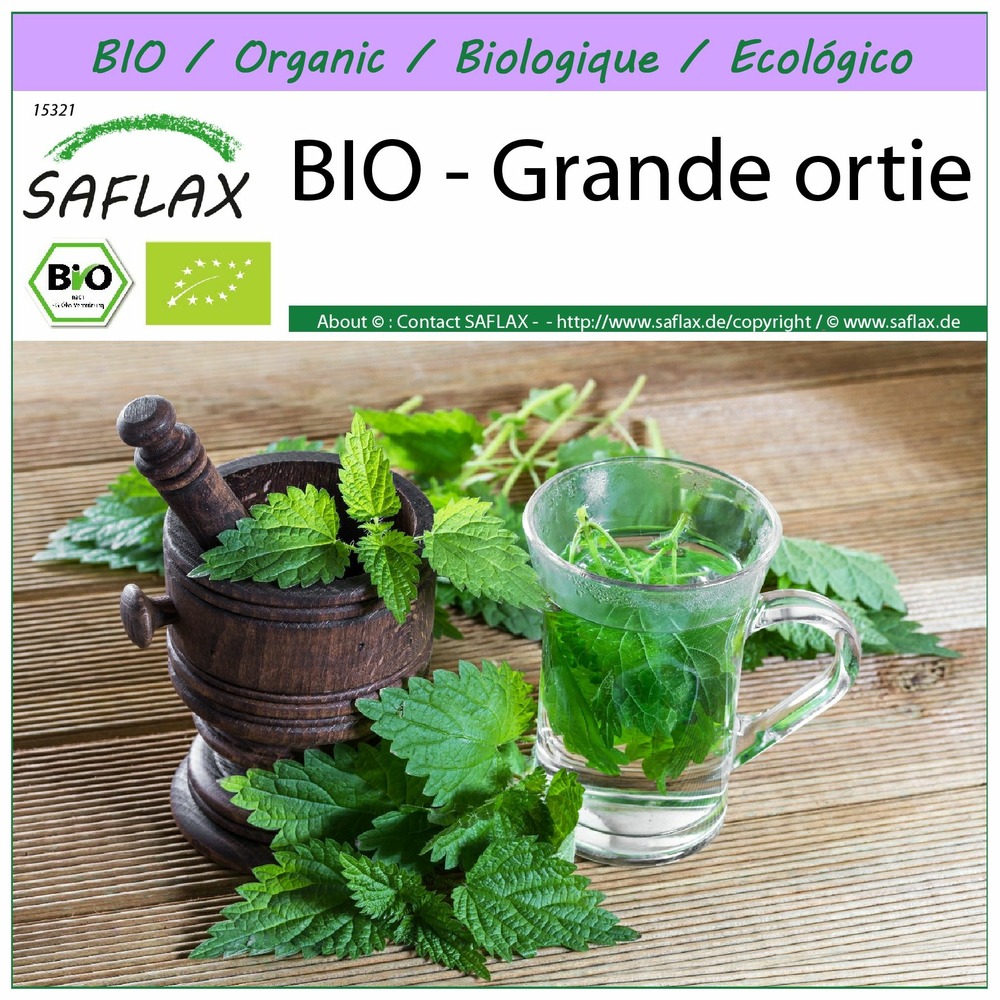 Bio - grande ortie - 2000 graines - urtica dioica