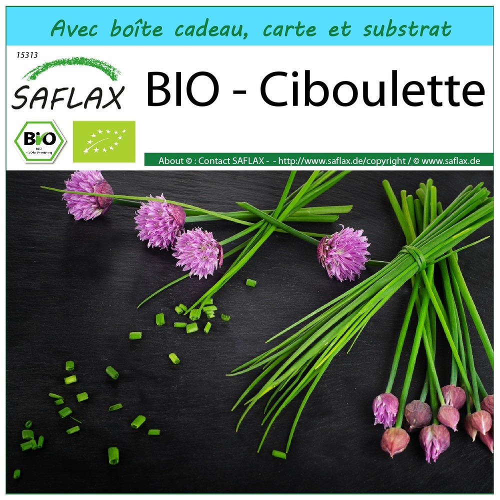 Ensemble-cadeau - bio - ciboulette - 250 graines - allium schoenoprasum