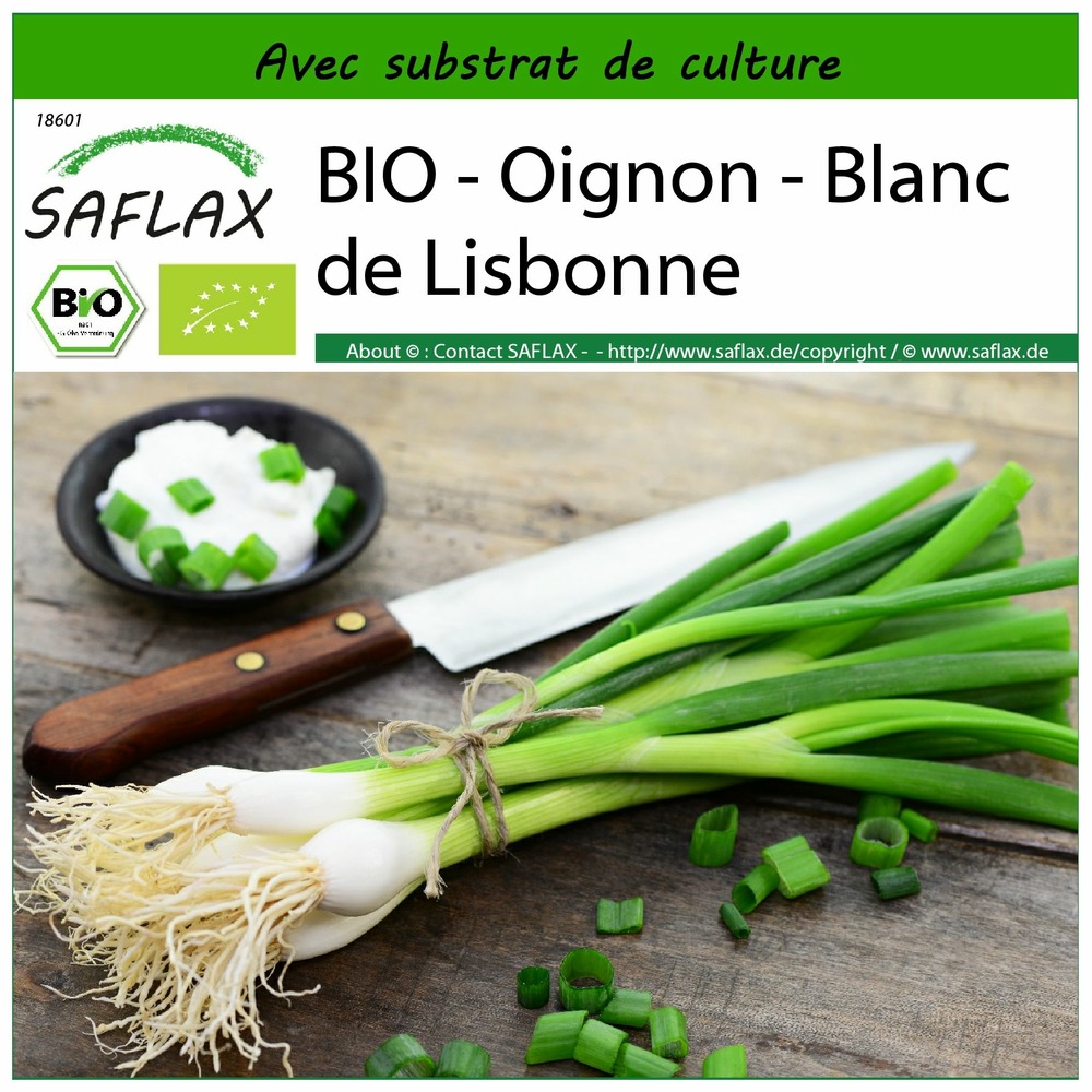 Bio - oignon - blanc de lisbonne - 150 graines - avec substrat - allium cepa