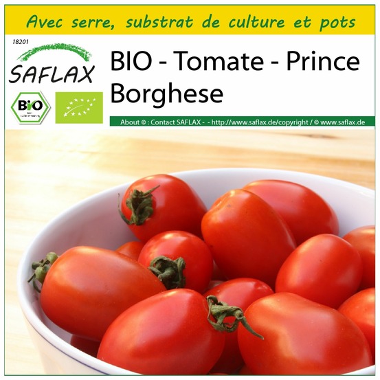 Ensemble de culture - bio - tomate - prince borghese - 10 graines - solanum lycopersicum